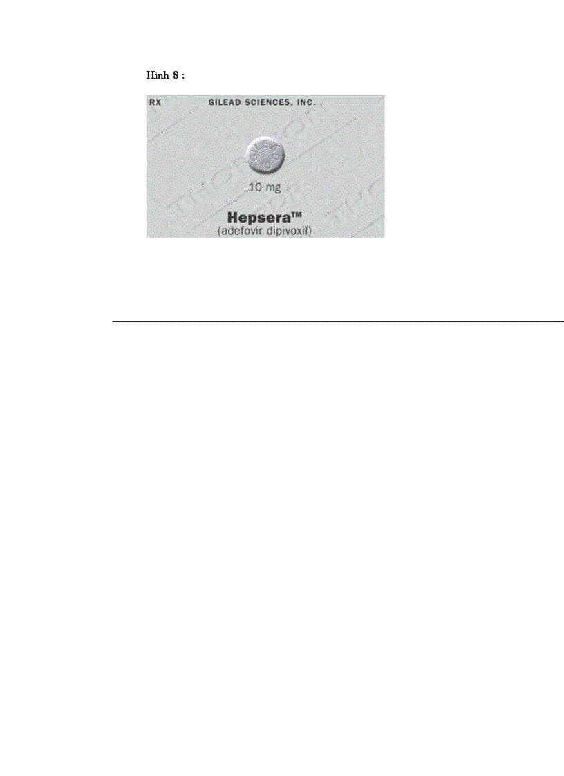 image for page Vỉut gây bệnh vỉut viem gan siêu vi B