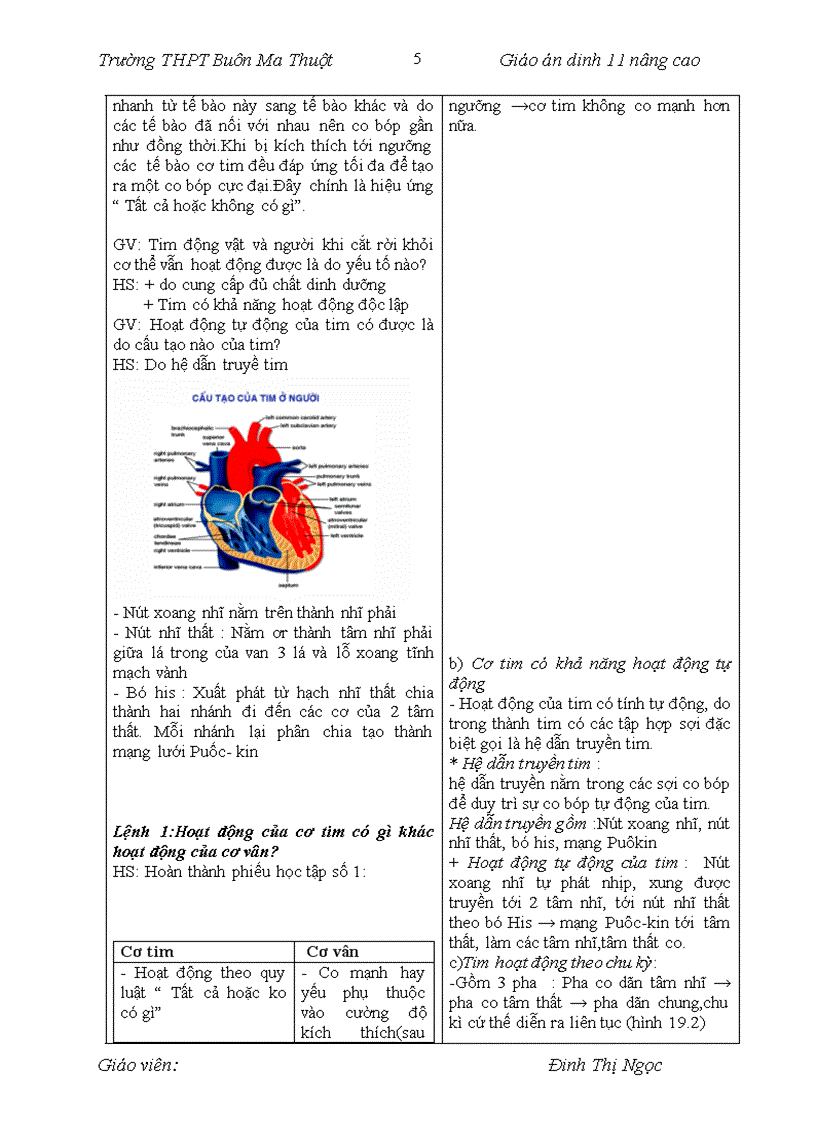 image for page Bài 18 đến bài 28 sinh 11 nâng cao