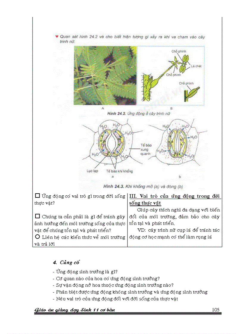 image for page Bài 24