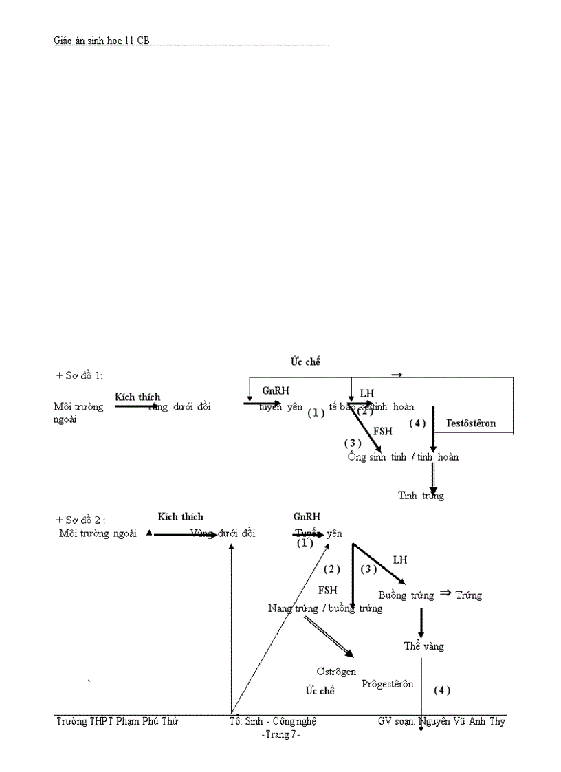 image for page Bài 46 Cơ chế điều hòa sinh sản