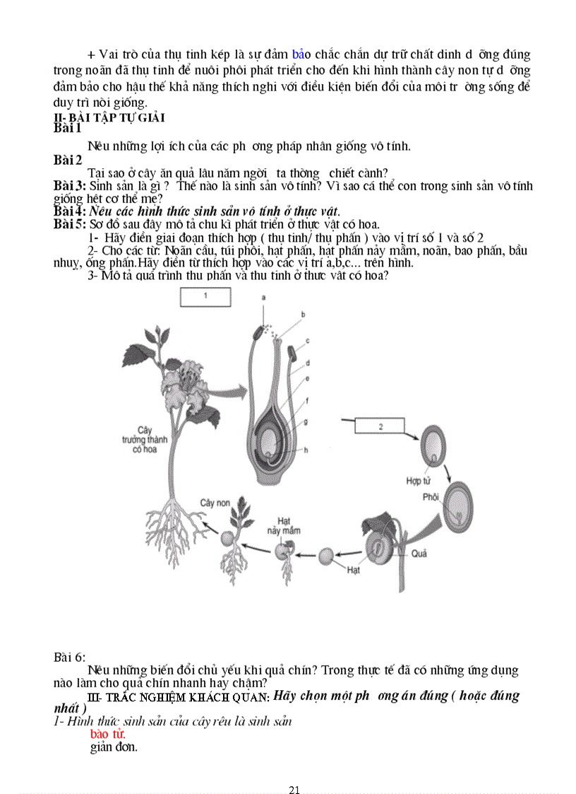 image for page Bài tập tự luận và trắc nghiệm sinh học 11