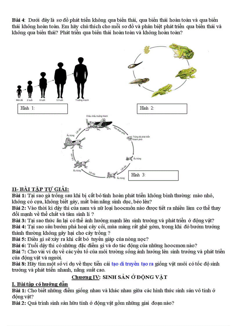 image for page Bồi dưỡng HSG rất hay