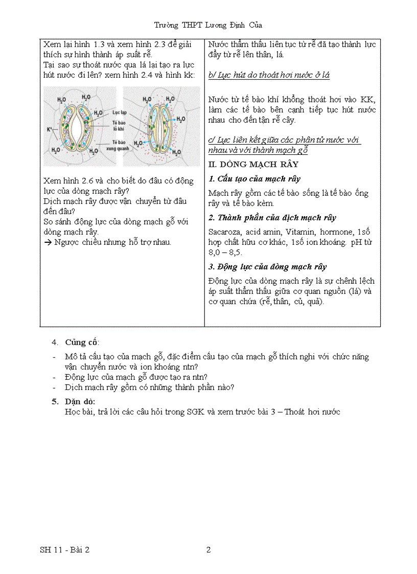 image for page Bài 2 Vận chuyển các chất trong cây 1