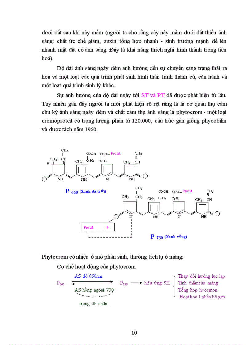 image for page Chuyên đề sinh lý thực vật 1