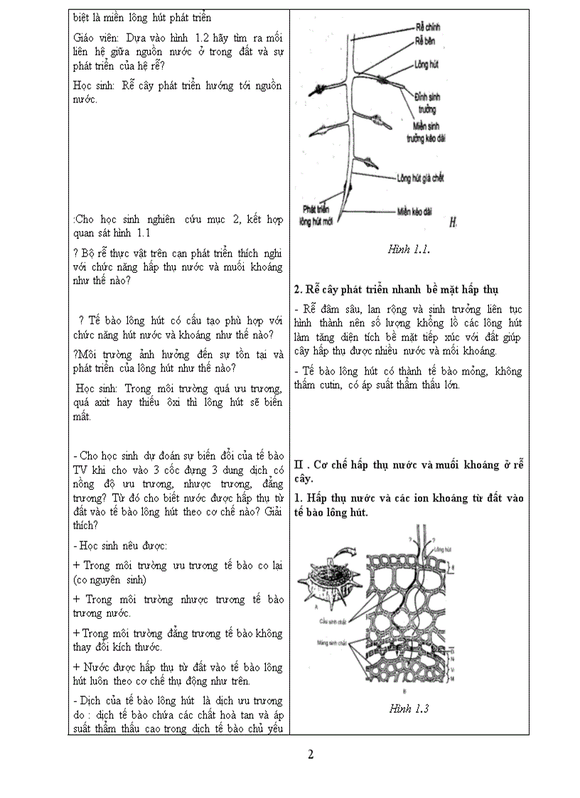 GA sinh 11 cơ bản tiét 1 đến 24