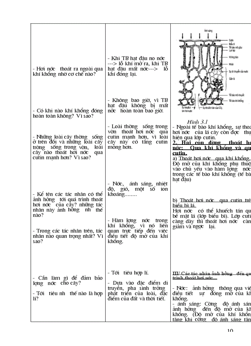 image for page Giáo án sinh 11 cả năm chuẩn kiến thức kỹ năng 2011