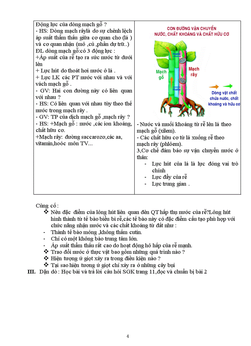 image for page Giao an sinh 11 cb