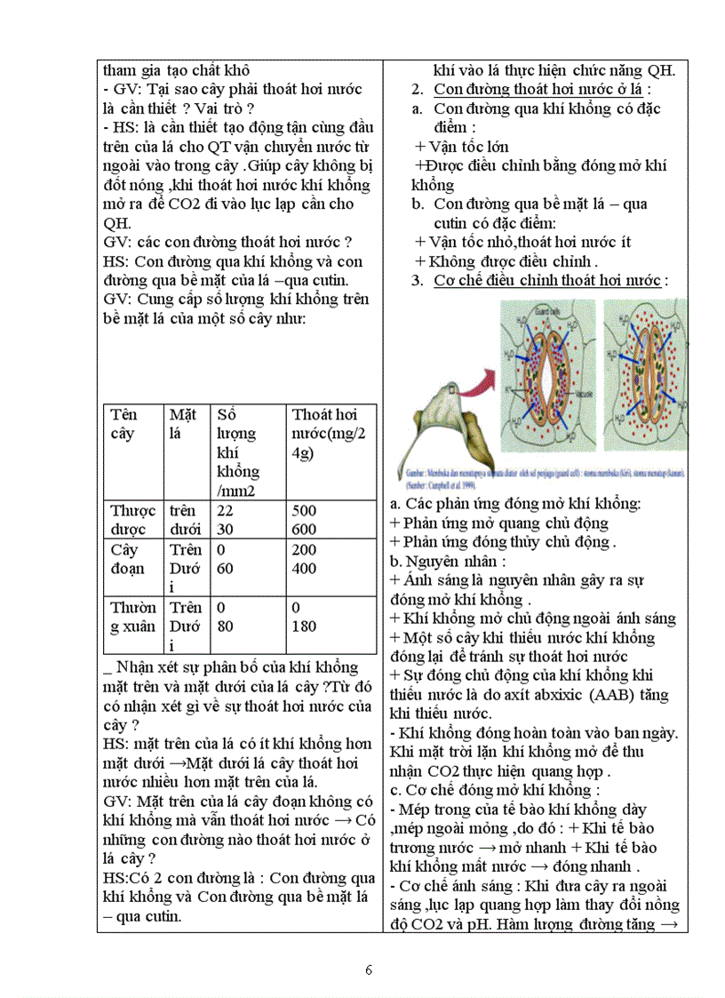 image for page Giao an sinh 11 cb