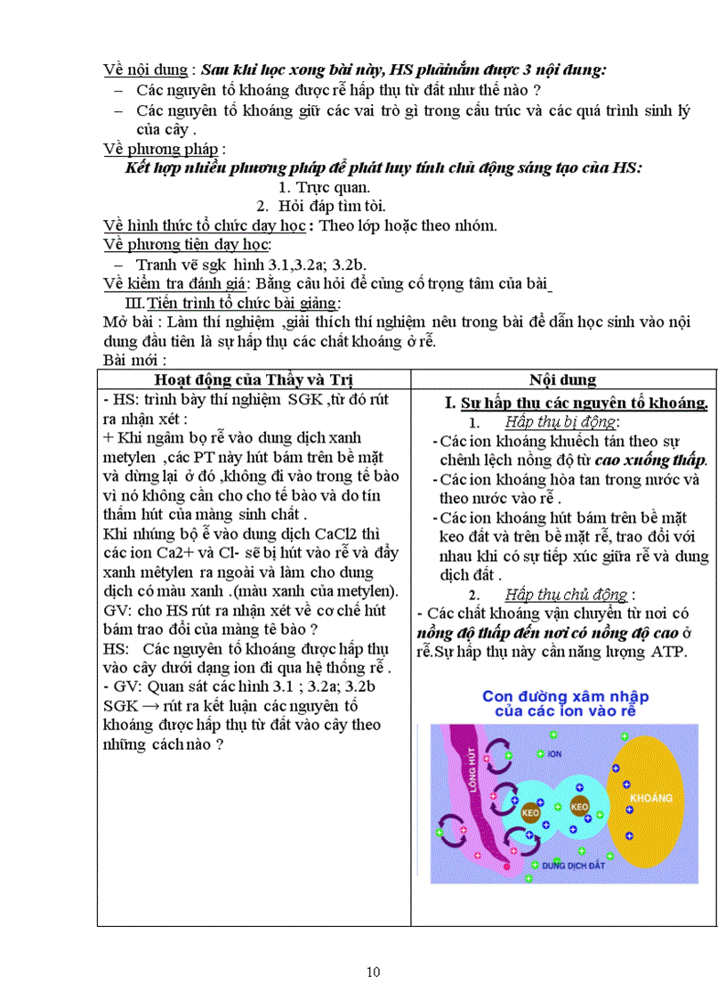 image for page Giao an sinh 11 cb