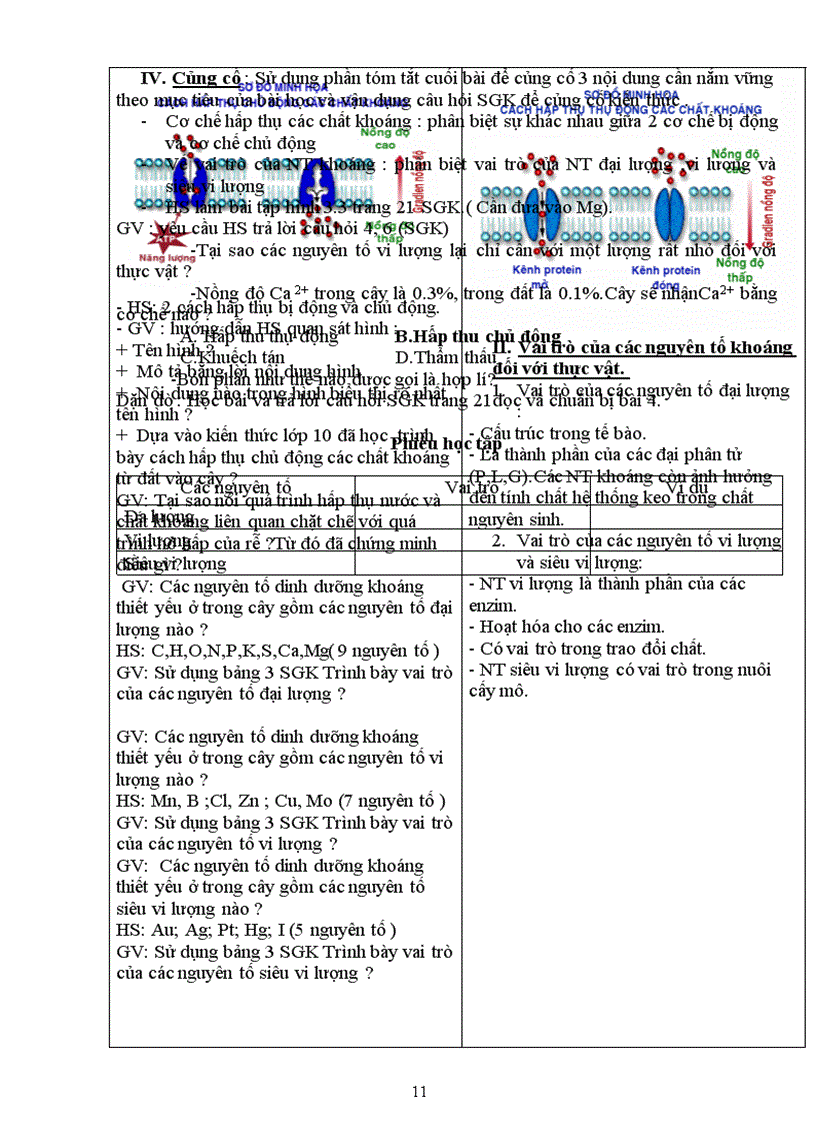 image for page Giao an sinh 11 cb