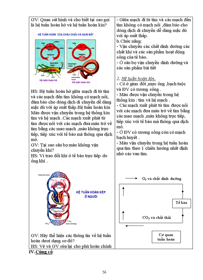 image for page Giao an sinh 11 cb