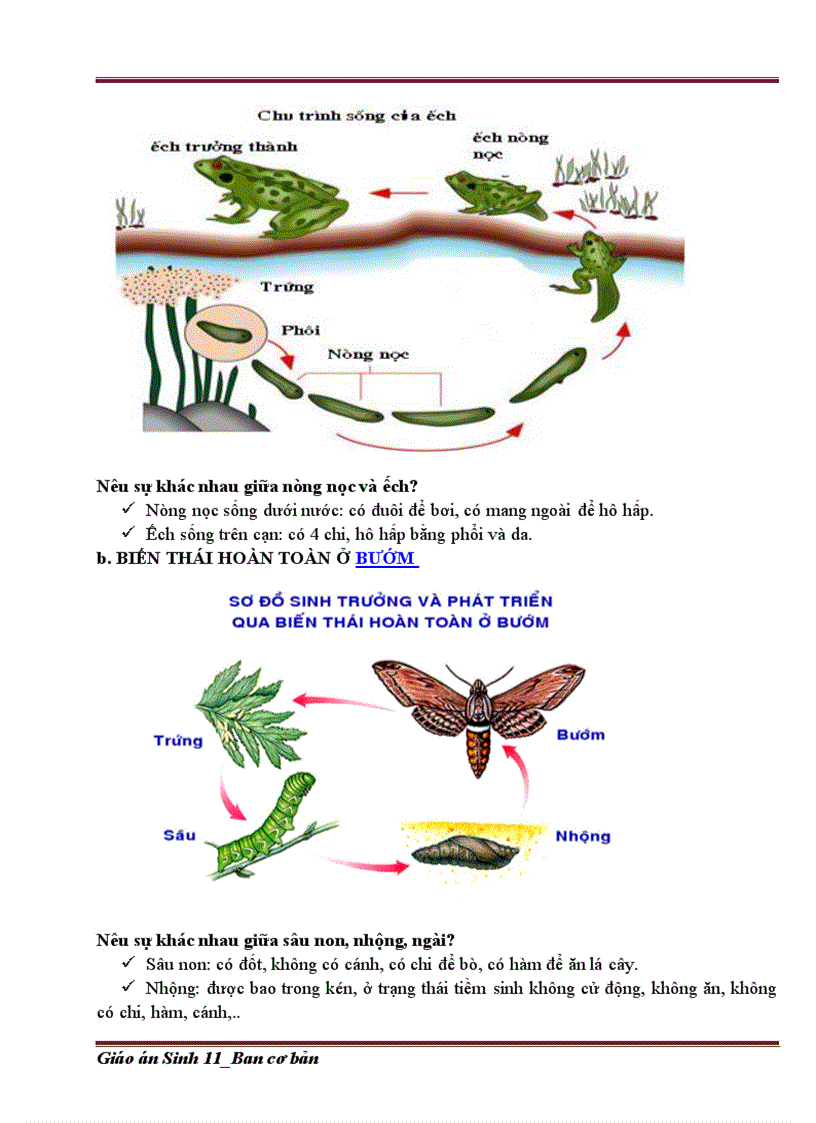 image for page Giáo án Sinh 11 Cơ bản 2