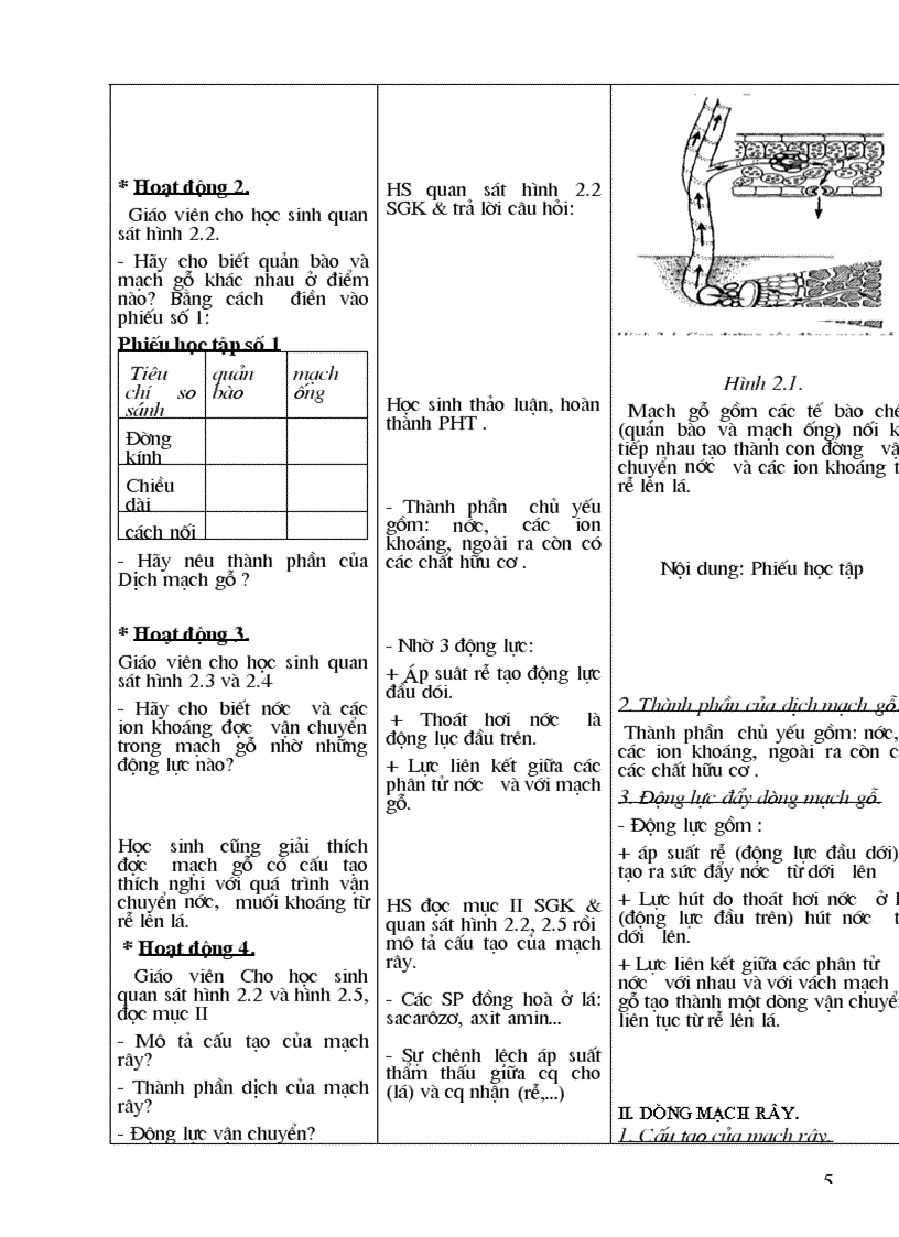 image for page Giáo án sinh hoc 11 cả năm CB chuẩn KTKN