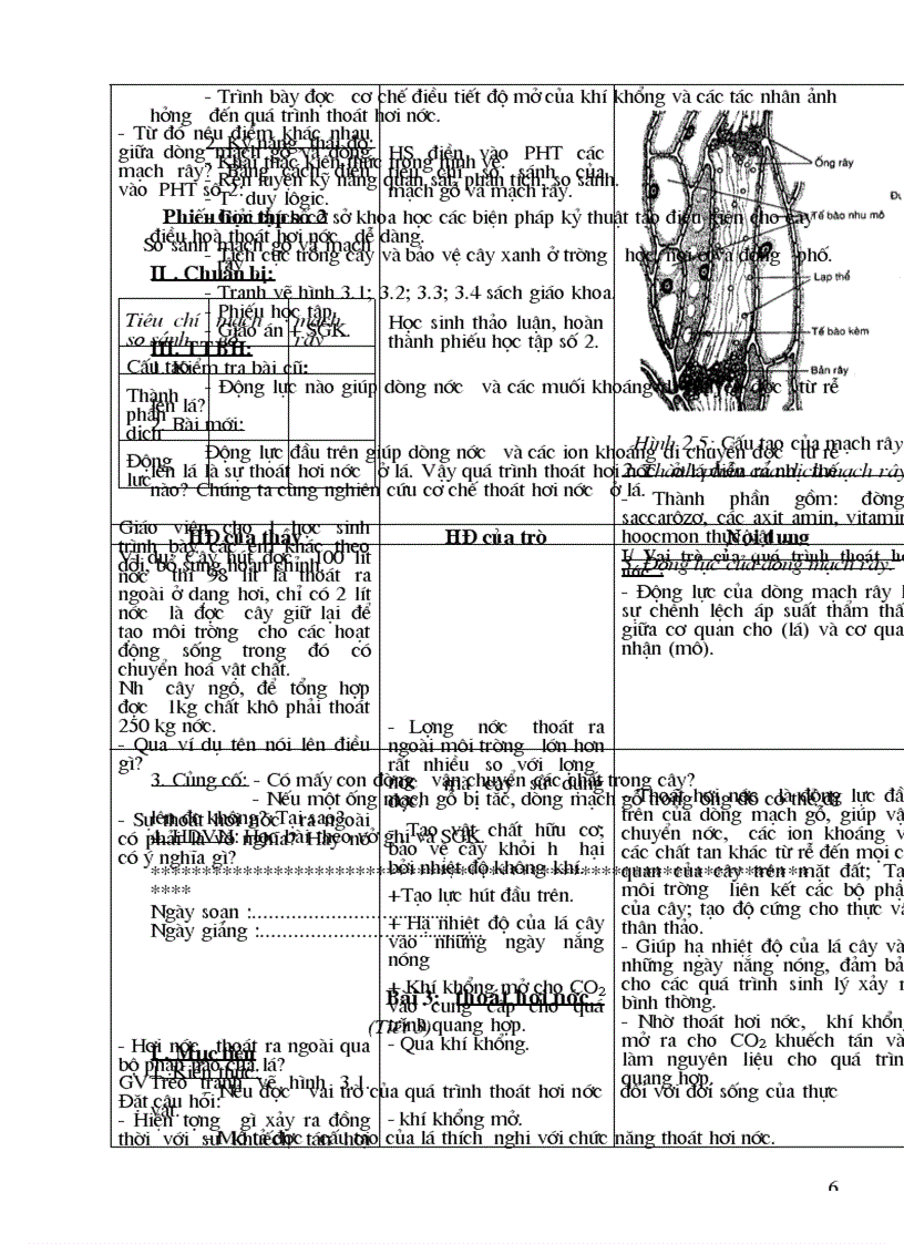 image for page Giáo án sinh hoc 11 cả năm CB chuẩn KTKN