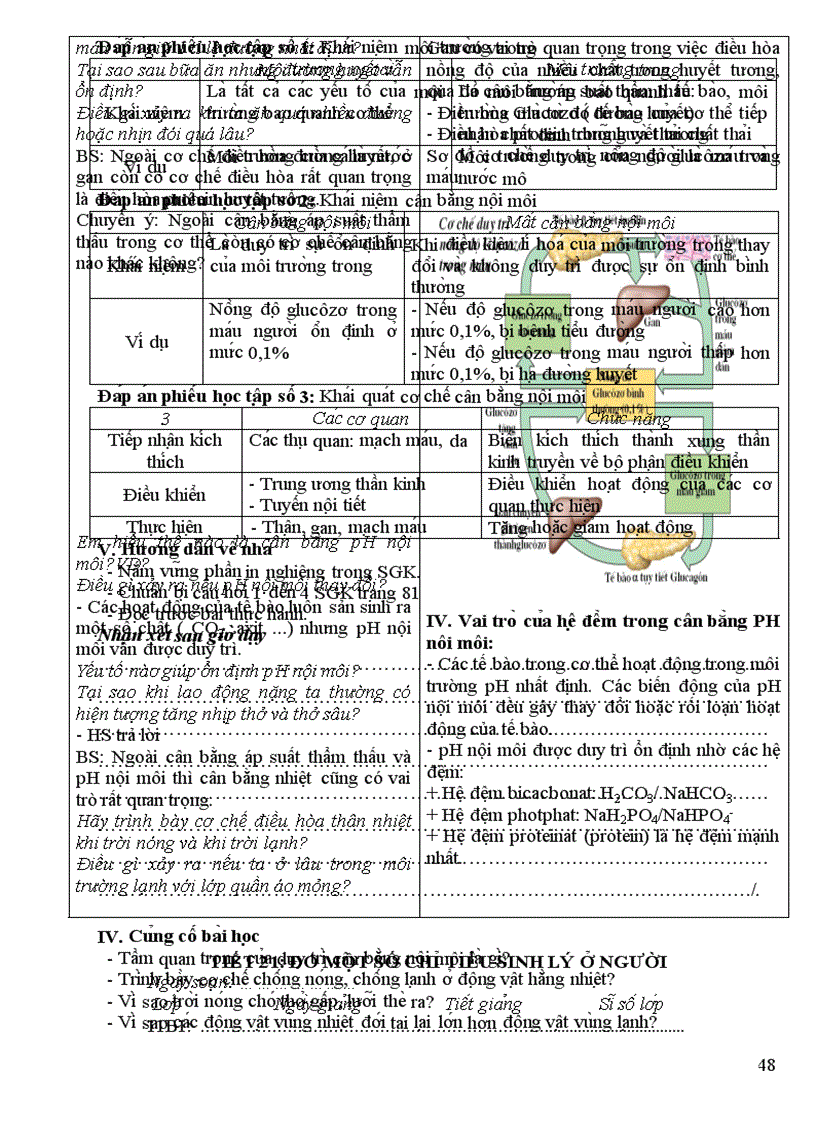 image for page Giáo án Sinh học 11 cơ bản chọn bộ 2