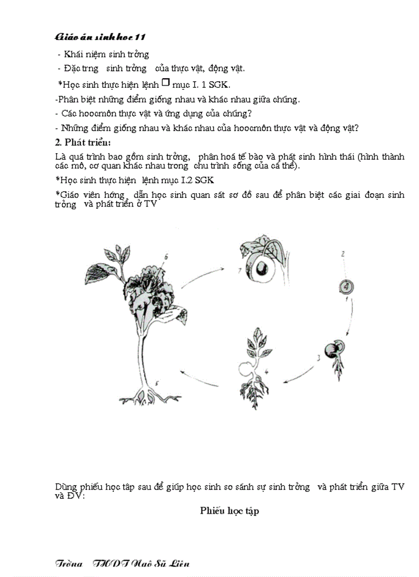 image for page Giáo án Sinh học 11 HKII