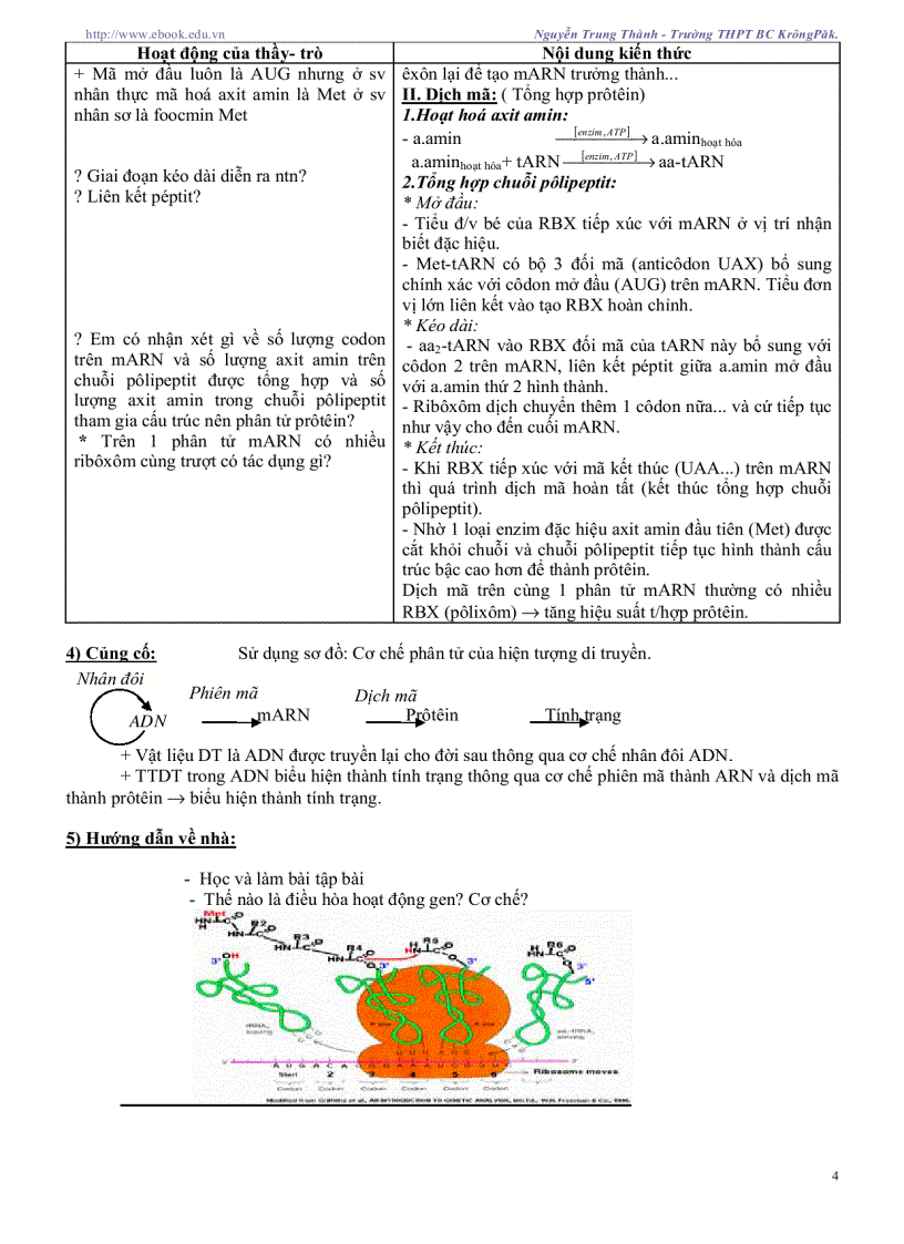 image for page Giáo án sinh học 12 CB