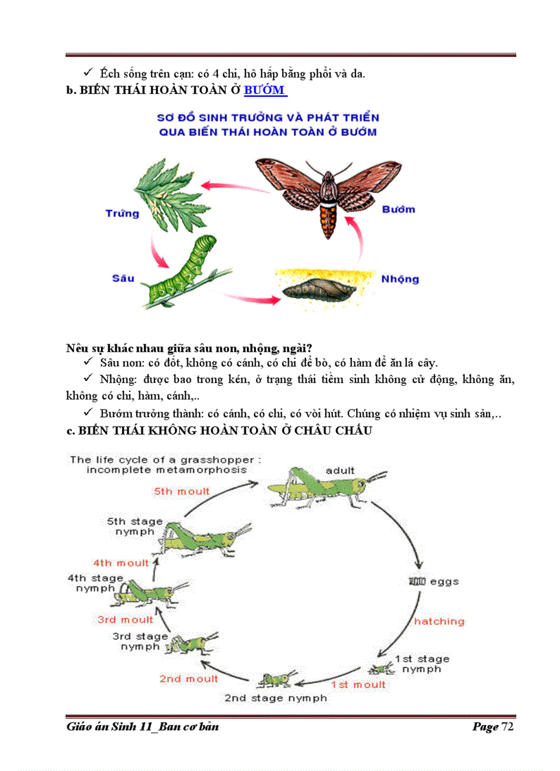 image for page Giáo án Sinh học lớp 11 cơ bản
