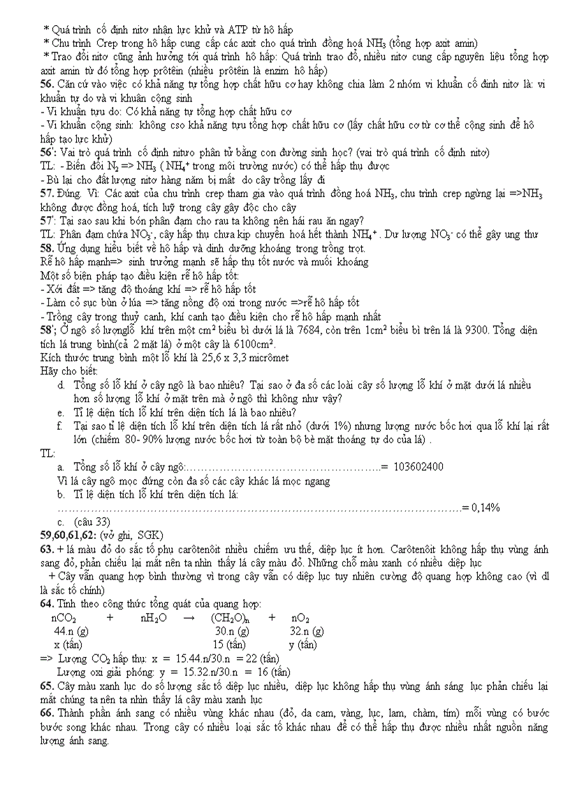 image for page Một số câu hỏi ôn HSG 11 và đáp án