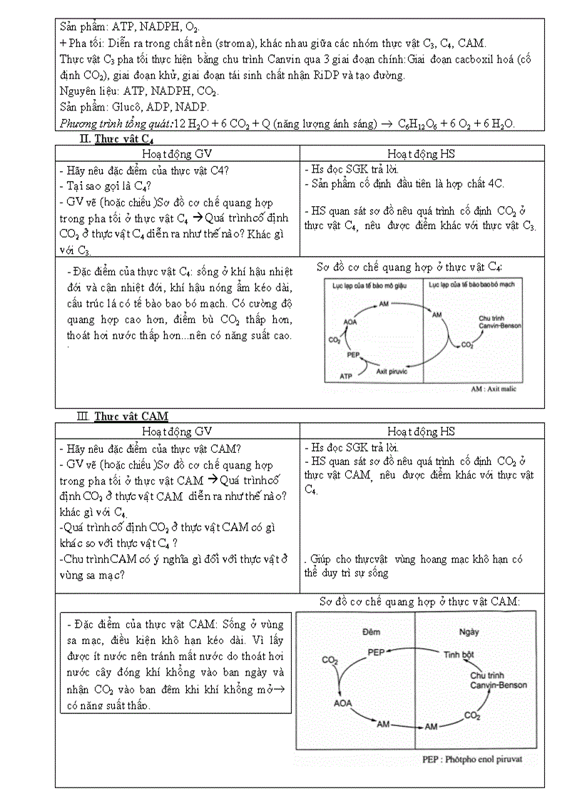 image for page Quang hợp ở các nhóm thực vật c3 c4 cam