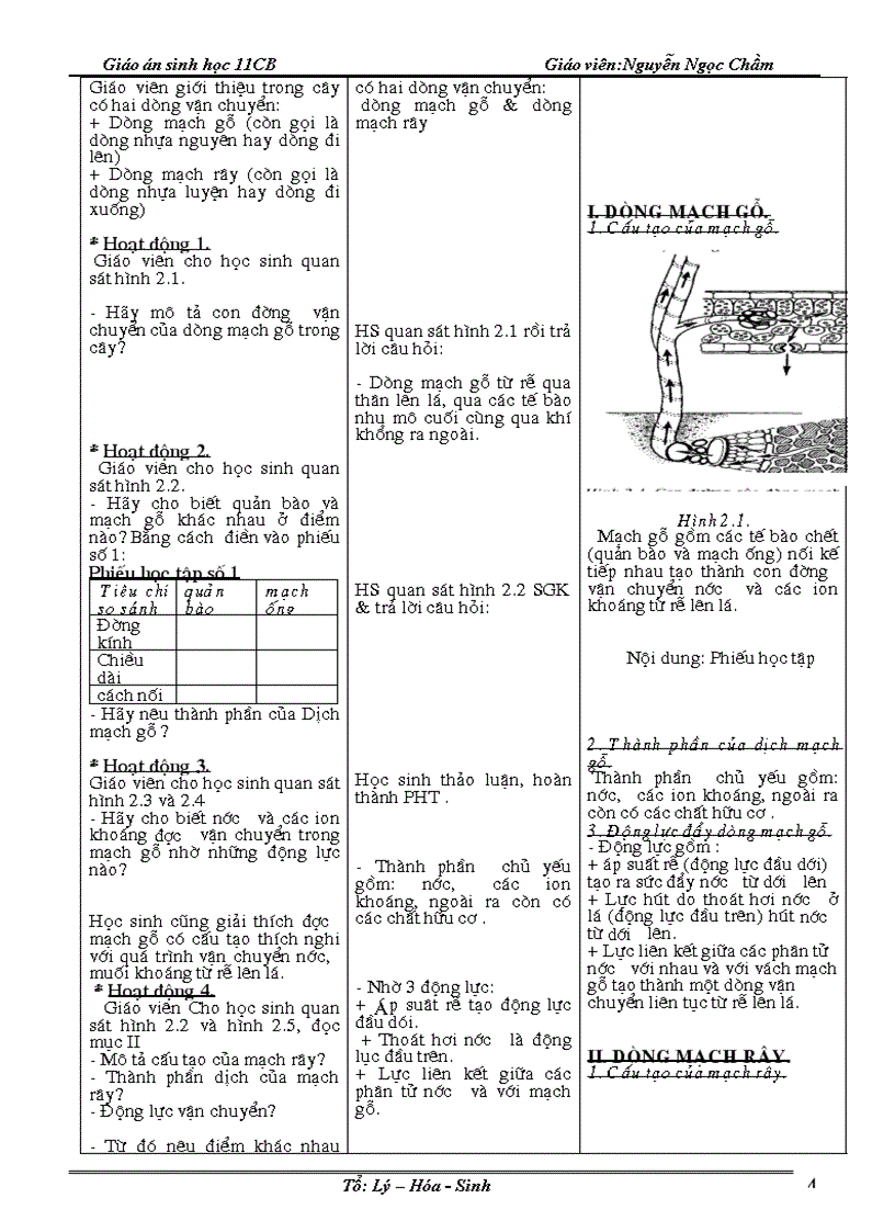 image for page Sinh 11 3 cot moi