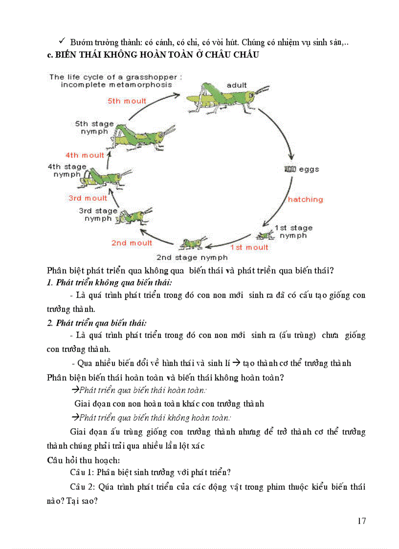 image for page SINH 11 CB Chuong 3