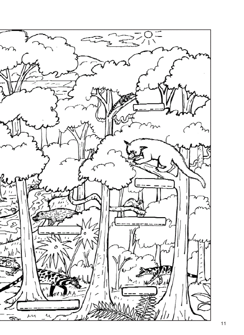 image for page Thú ăn thịt nhỏ