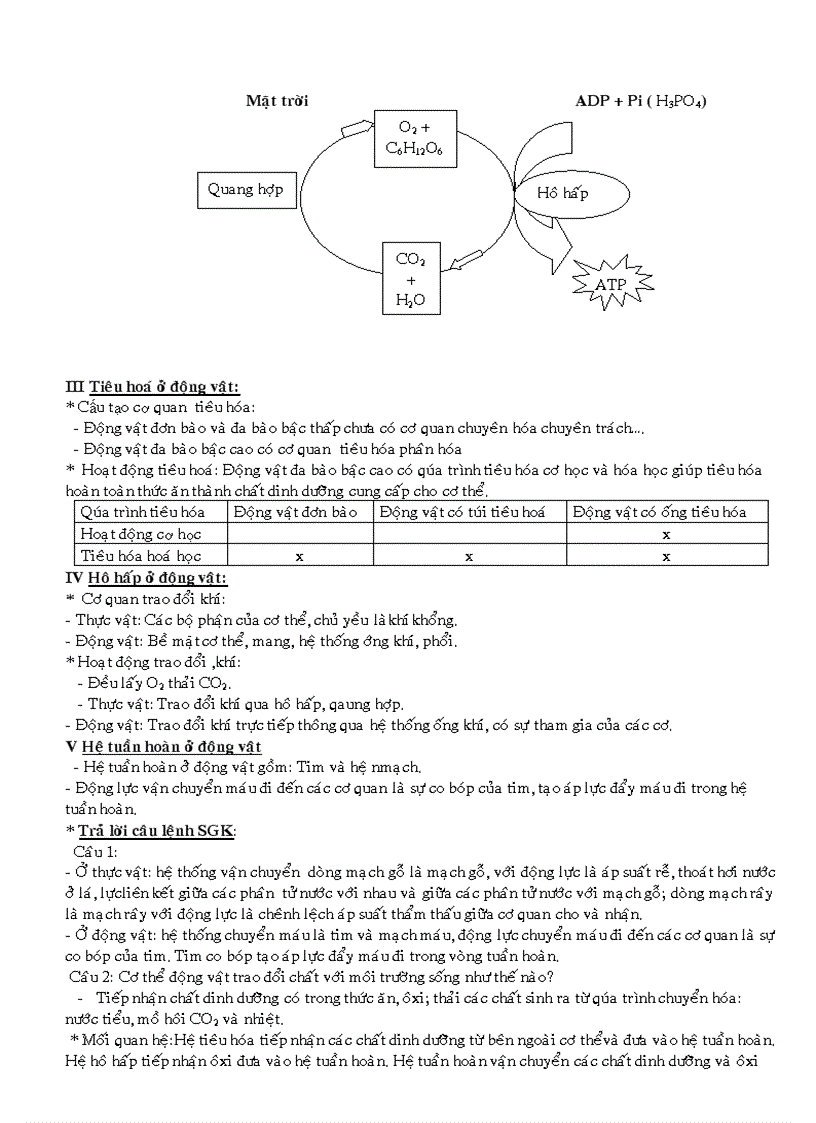 image for page Tiet 26 on tap hoc ki i noi dung bai 22