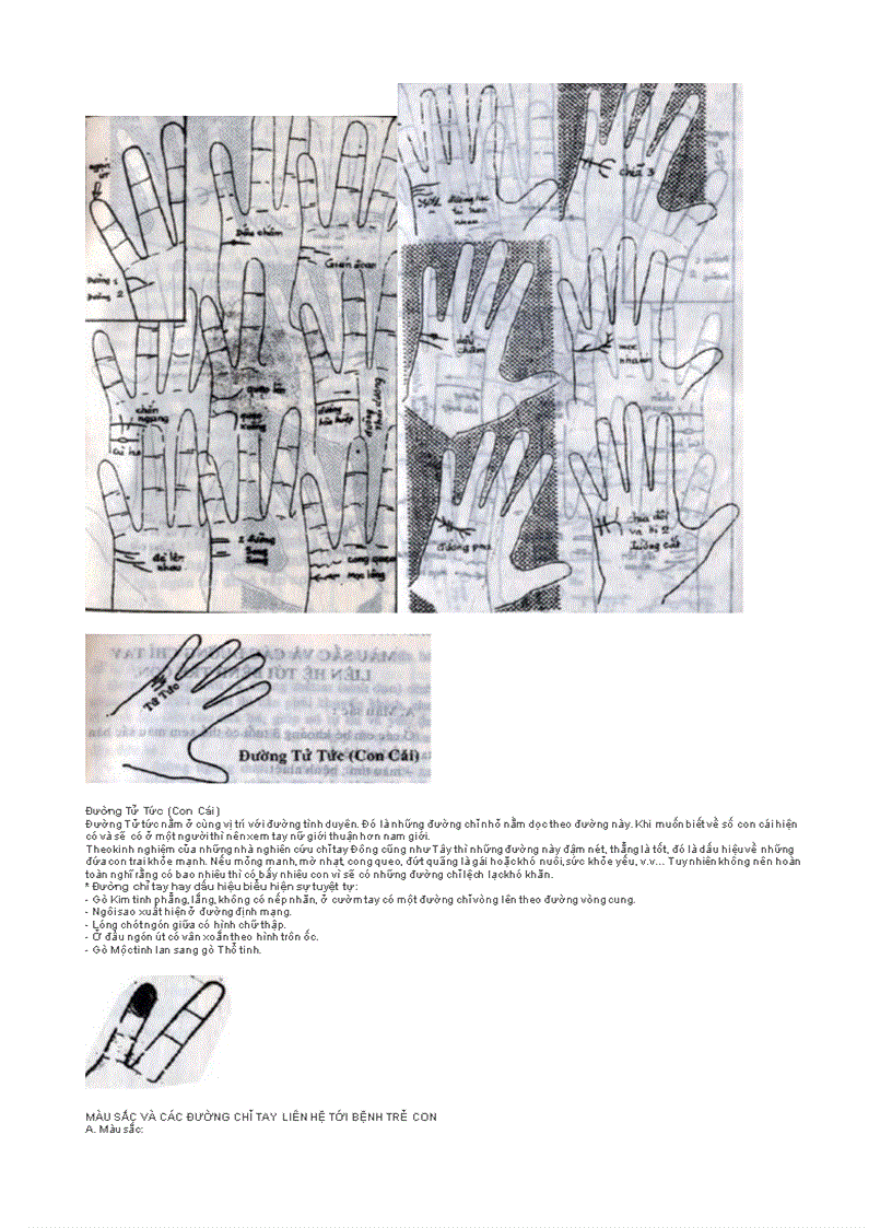 image for page Xem chi tay