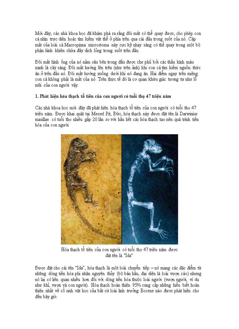 image for page 10 dấu ấn khoa học năm 2009