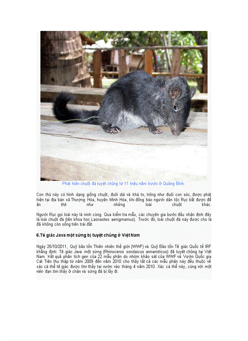 image for page 10 sự kiện môi trường việt nam nổi bật năm 2011