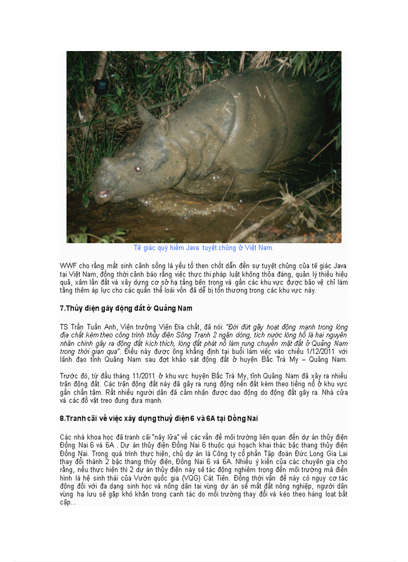 image for page 10 sự kiện môi trường việt nam nổi bật năm 2011