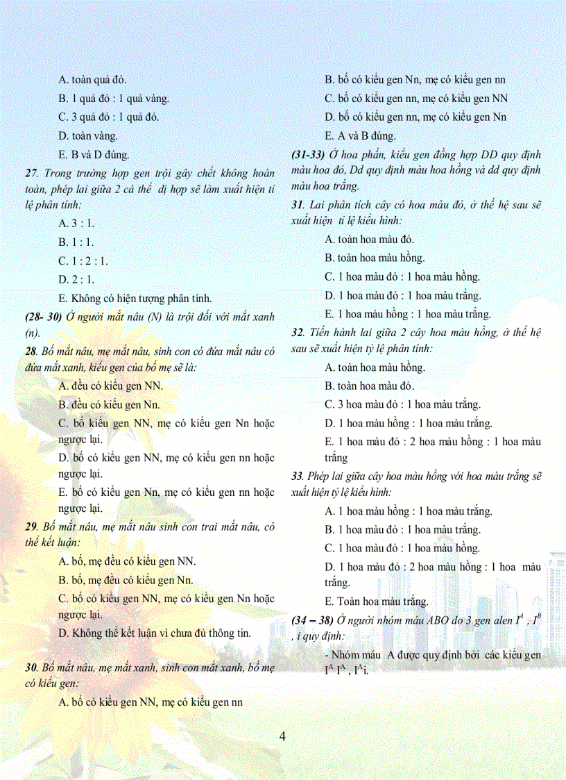 image for page 1001 cau sh 12tuyet hay