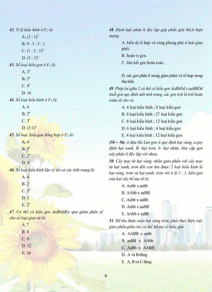 image for page 1001 cau sh 12tuyet hay