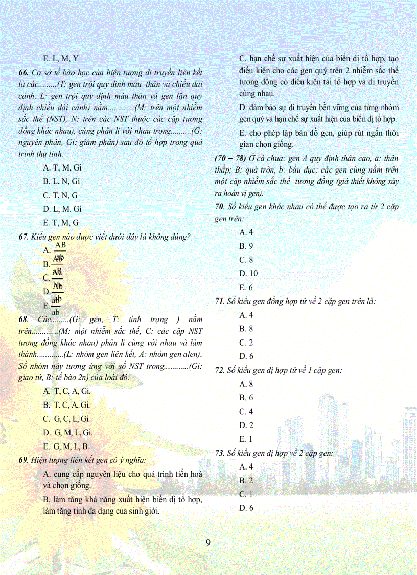 image for page 1001 cau sh 12tuyet hay