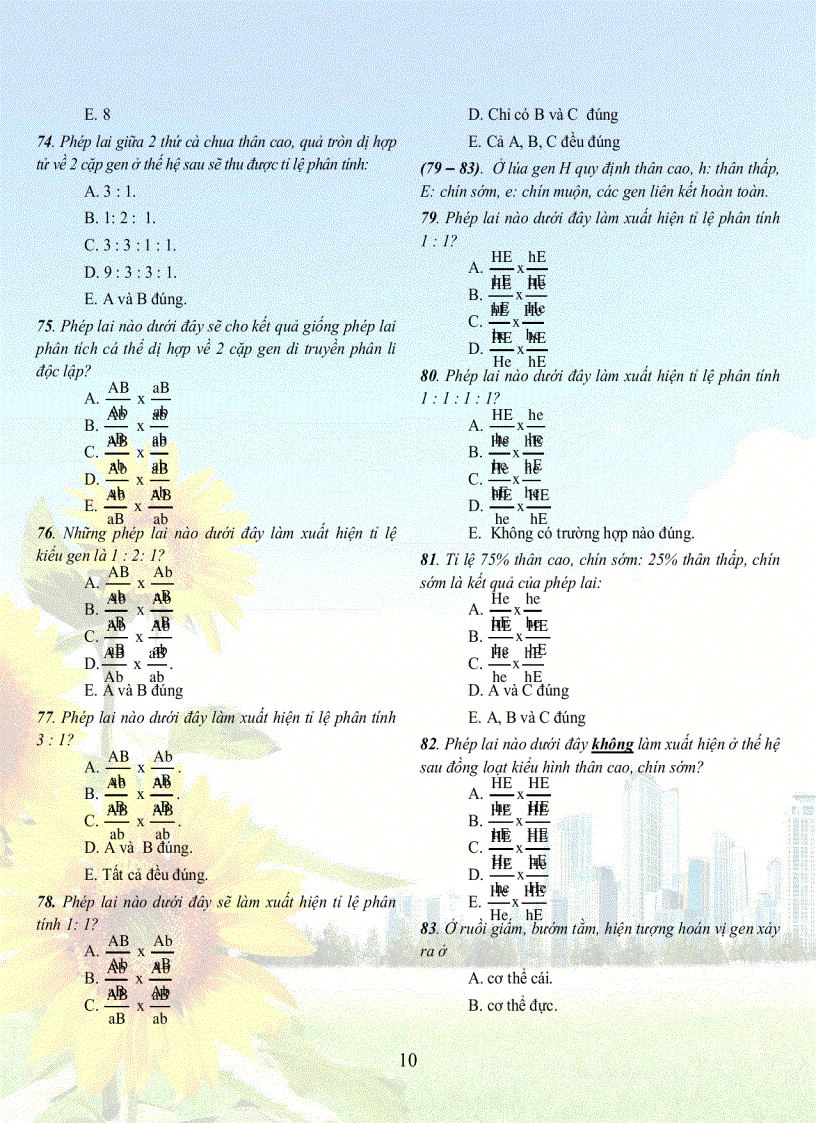 image for page 1001 cau sh 12tuyet hay