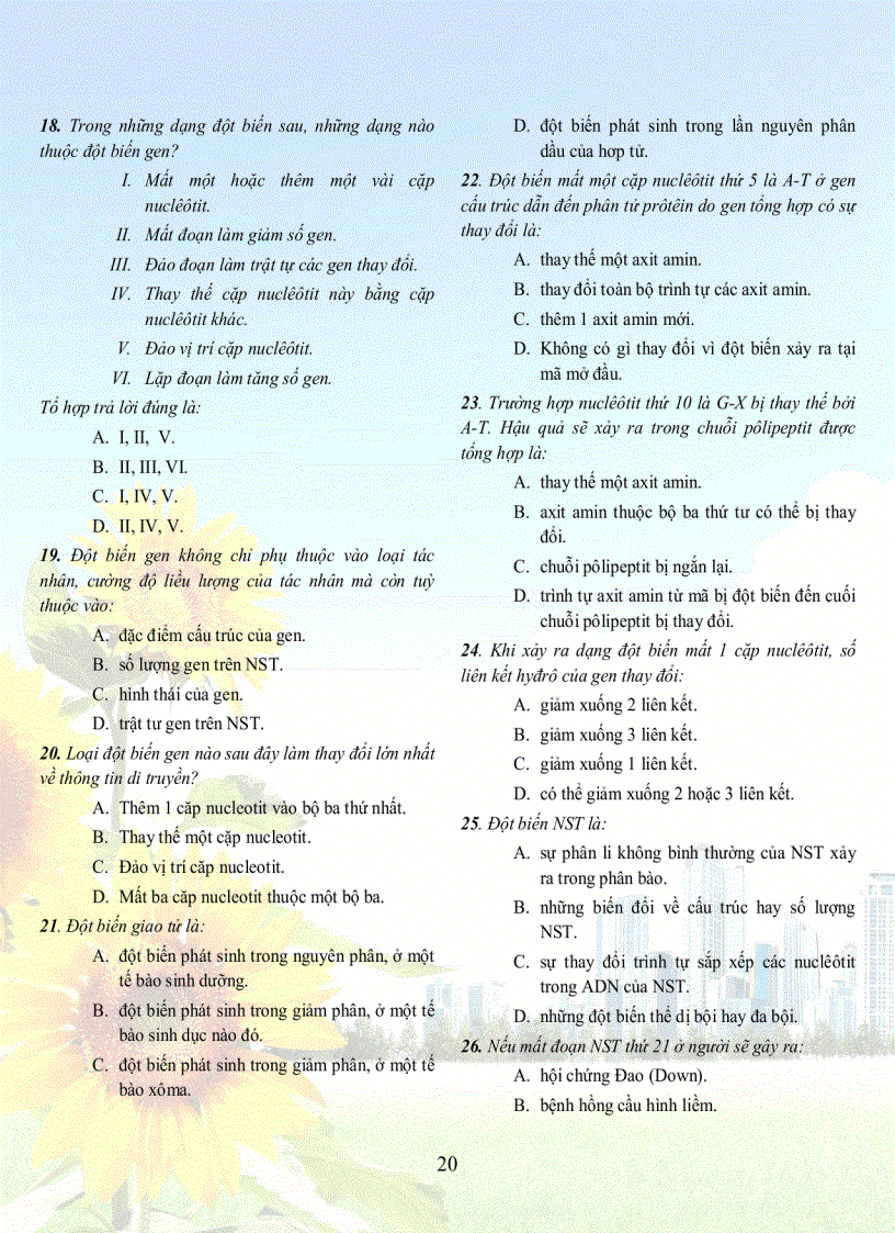 image for page 1001 cau sh 12tuyet hay