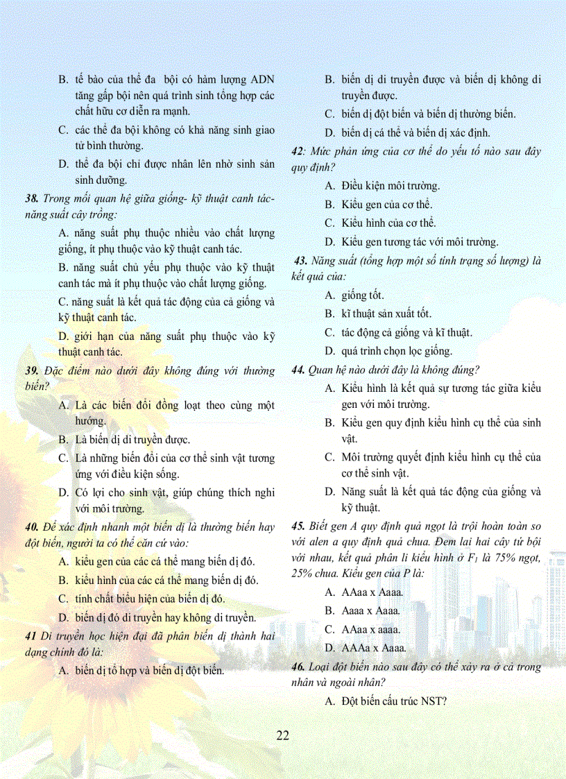 image for page 1001 cau sh 12tuyet hay