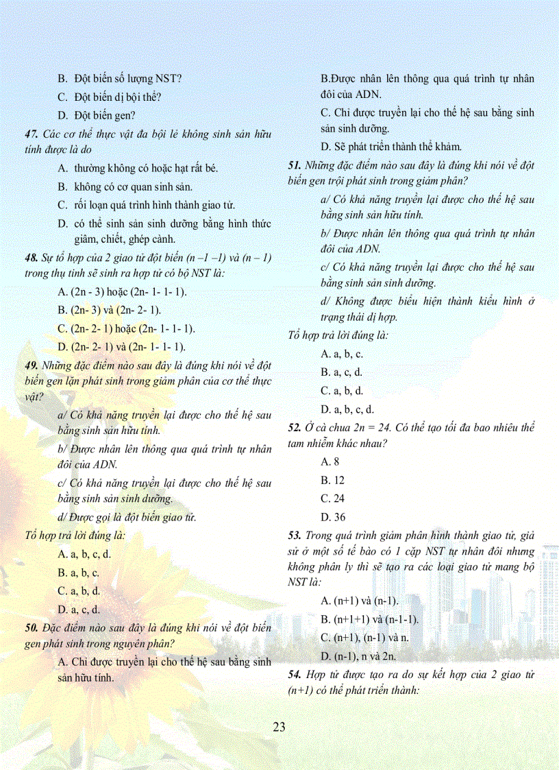 image for page 1001 cau sh 12tuyet hay