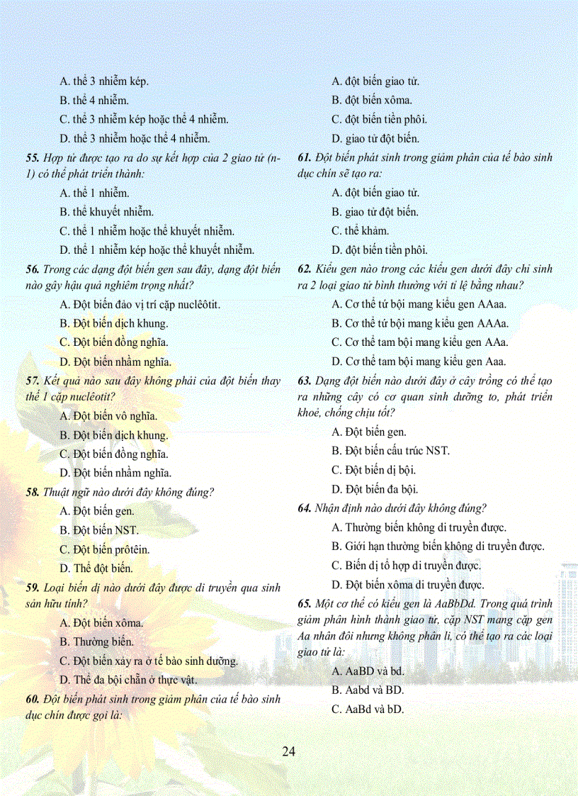 image for page 1001 cau sh 12tuyet hay