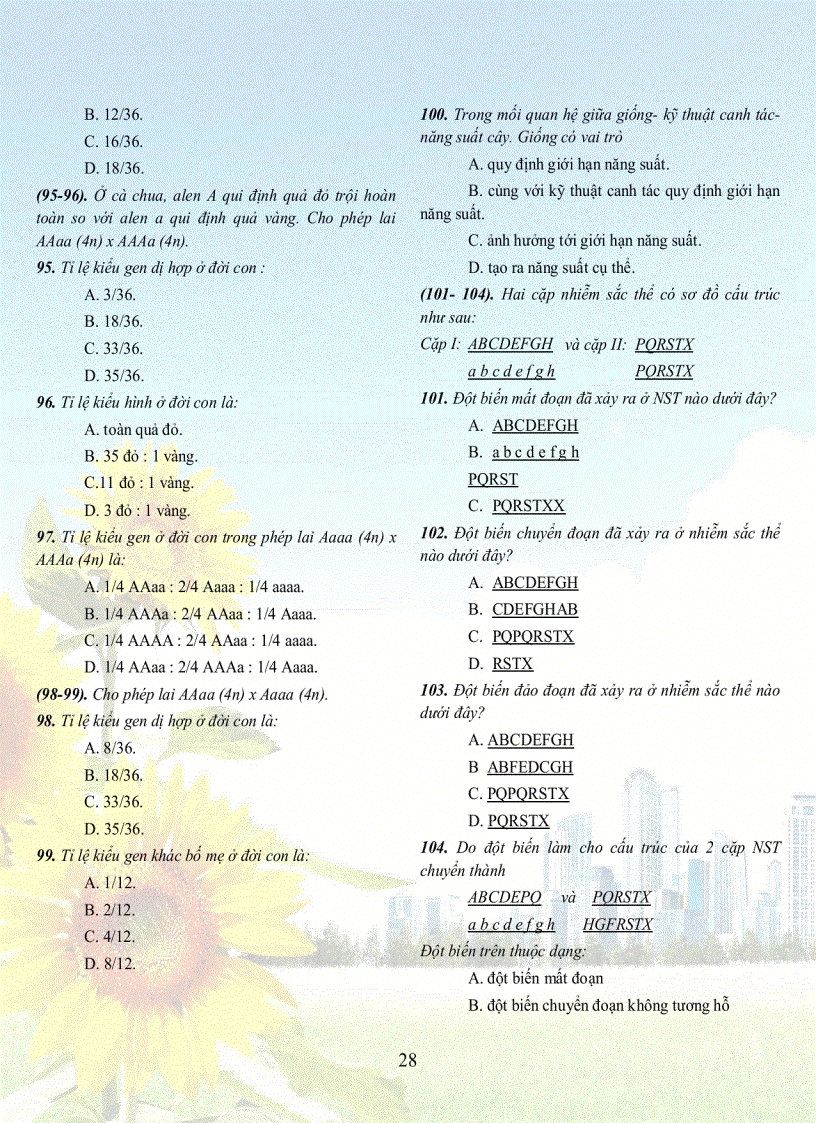 image for page 1001 cau sh 12tuyet hay