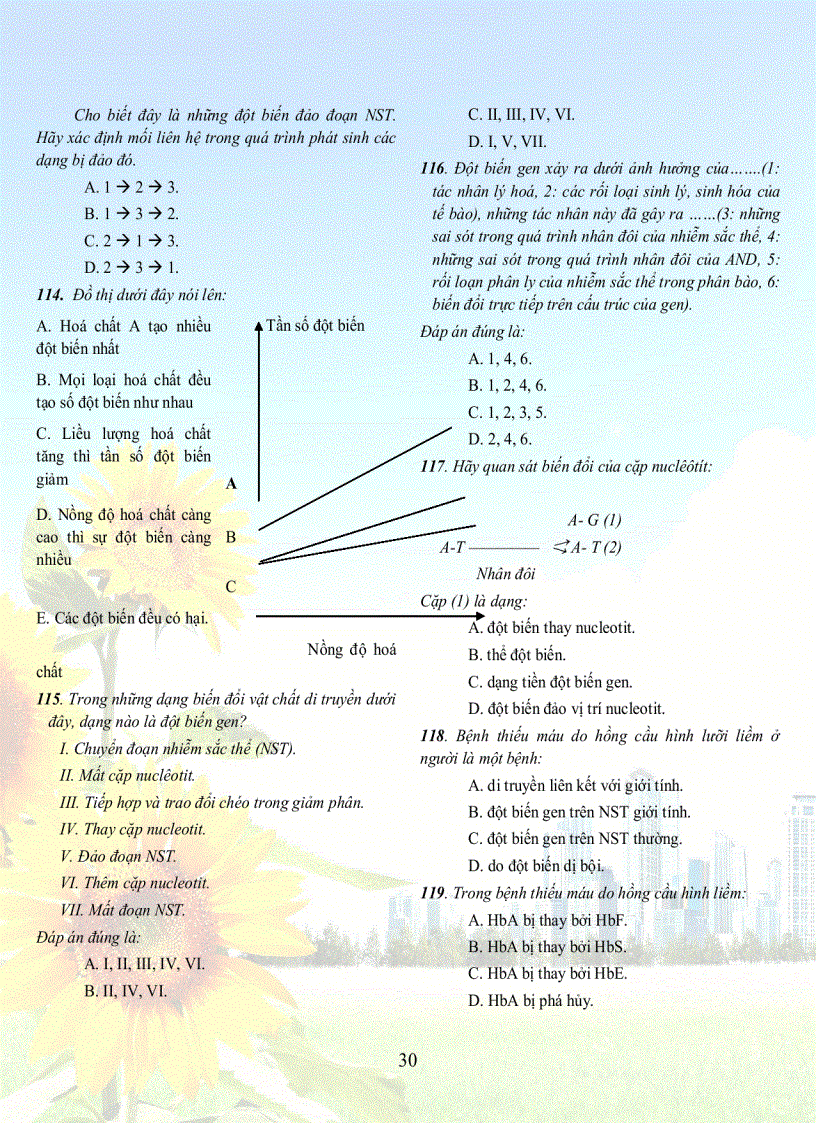 image for page 1001 cau sh 12tuyet hay