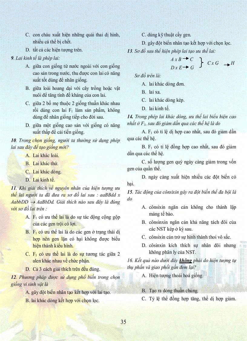 image for page 1001 cau sh 12tuyet hay