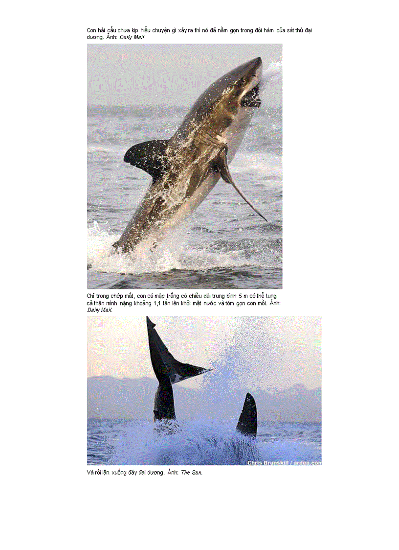 image for page Anh dep ve ca map