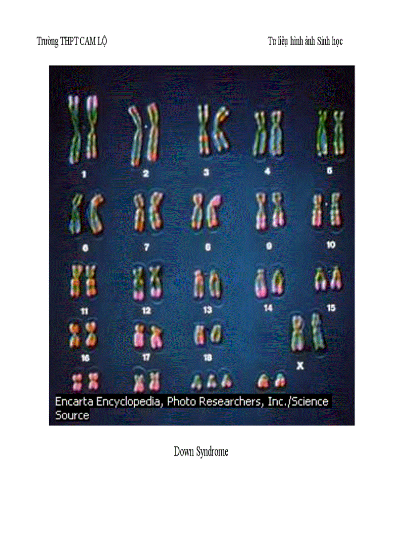 image for page Ảnh tư liệu Sinh học 12