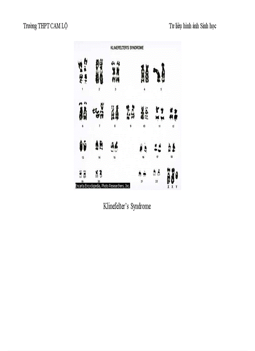 image for page Ảnh tư liệu Sinh học 12