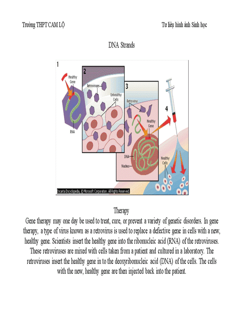 image for page Ảnh tư liệu Sinh học 12