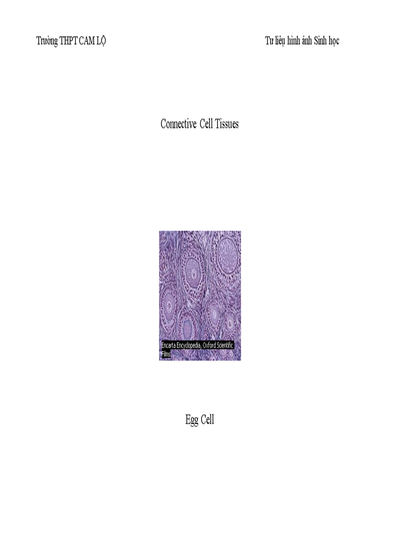 image for page Ảnh tư liệu Sinh học 12