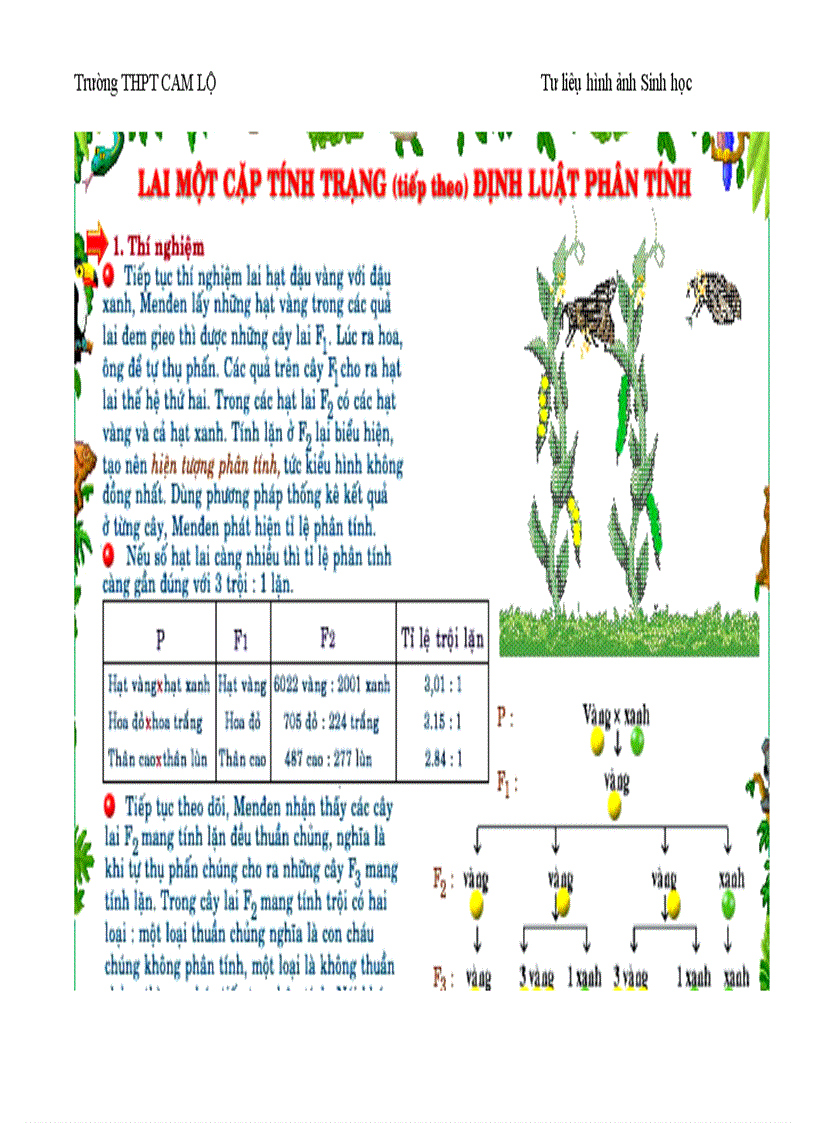 image for page Ảnh tư liệu Sinh học 12