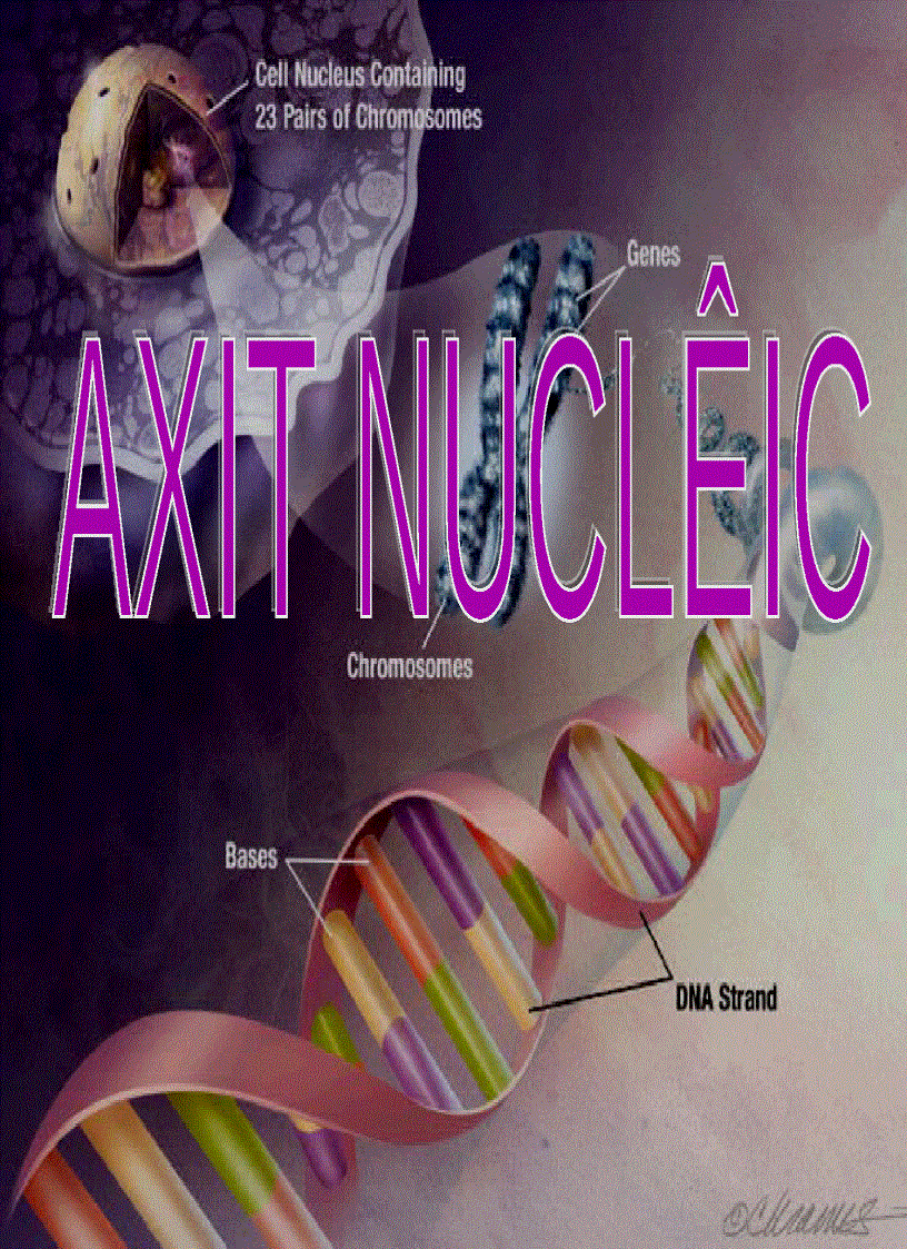 image for page Axitnucleic